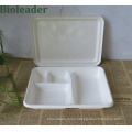 Wholesale 100% Biodegradable Sugar Cane Bagasse School Lunch Box